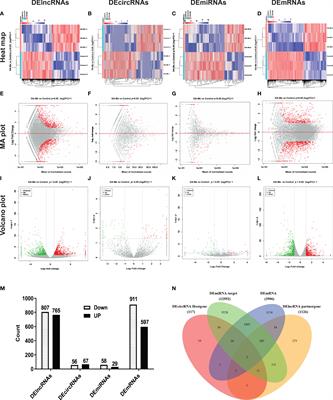 Integrated Whole-Transcriptome Profiling and Bioinformatics Analysis of the Polypharmacological Effects of Ganoderic Acid Me in Colorectal Cancer Treatment